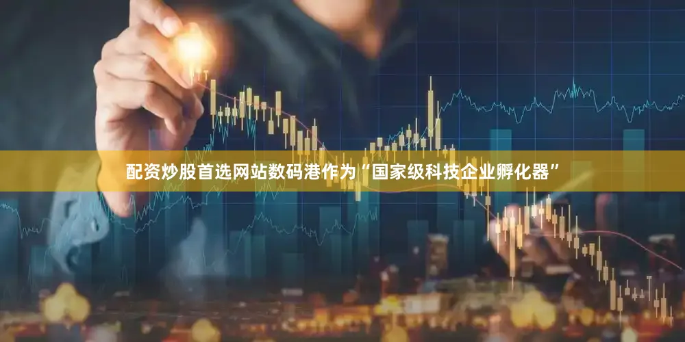 配资炒股首选网站数码港作为“国家级科技企业孵化器”