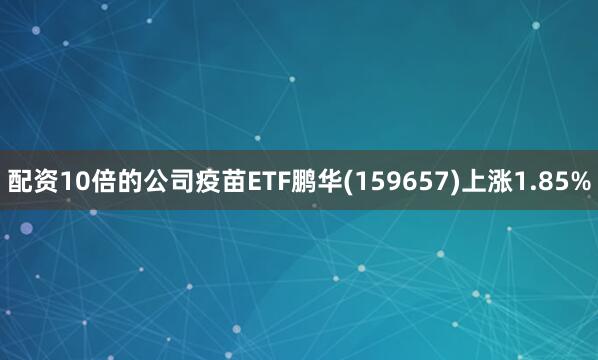 配资10倍的公司疫苗ETF鹏华(159657)上涨1.85%